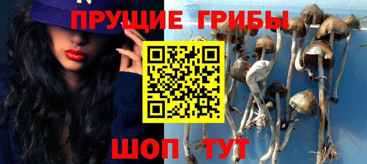 Псилоцибиновые грибы мицелий Михайловск