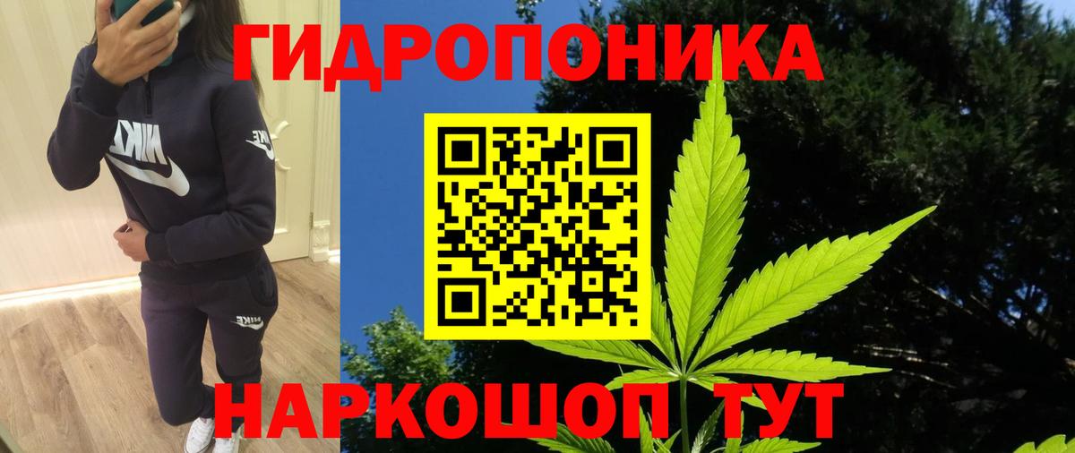 Каннабис сатива  Марихуана MAZAR  Конопля тримм  Вход с VPN  Михайловск  Канабис OG Kush 